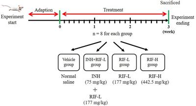 Screening of Biomarkers and Toxicity Mechanisms of Rifampicin-Induced Liver Injury Based on Targeted Bile Acid Metabolomics